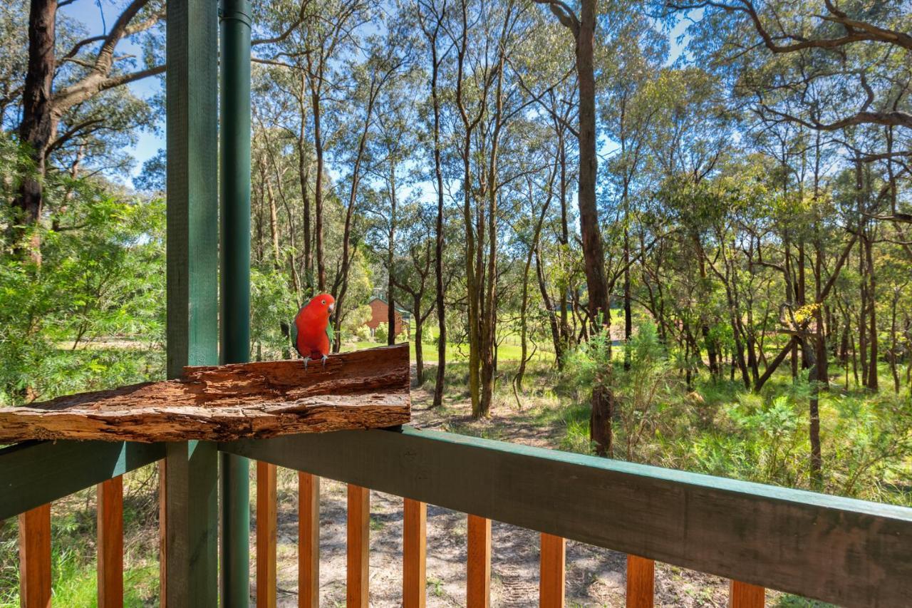 Cockatoo Cottages Exteriör bild